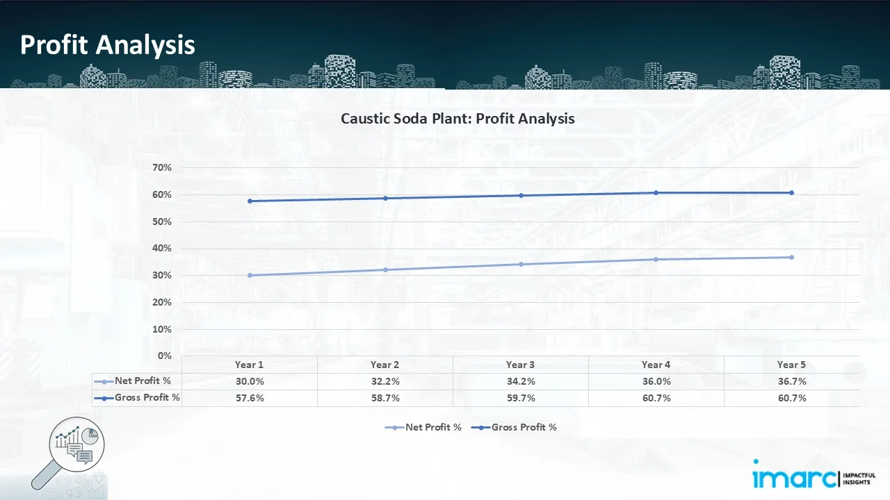 Profitability Analysis Year on Year Basis