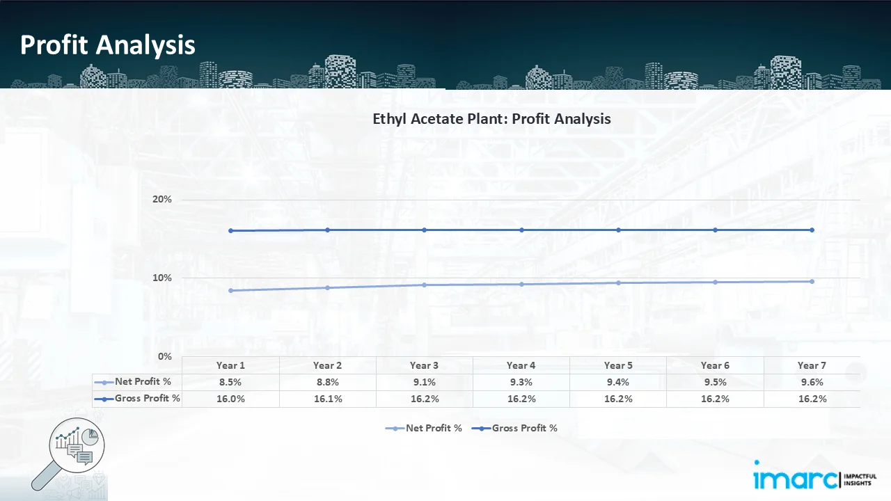 Profitability Analysis Year on Year Basis