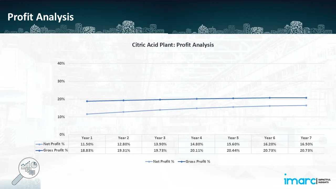 Profitability Analysis Year on Year Basis