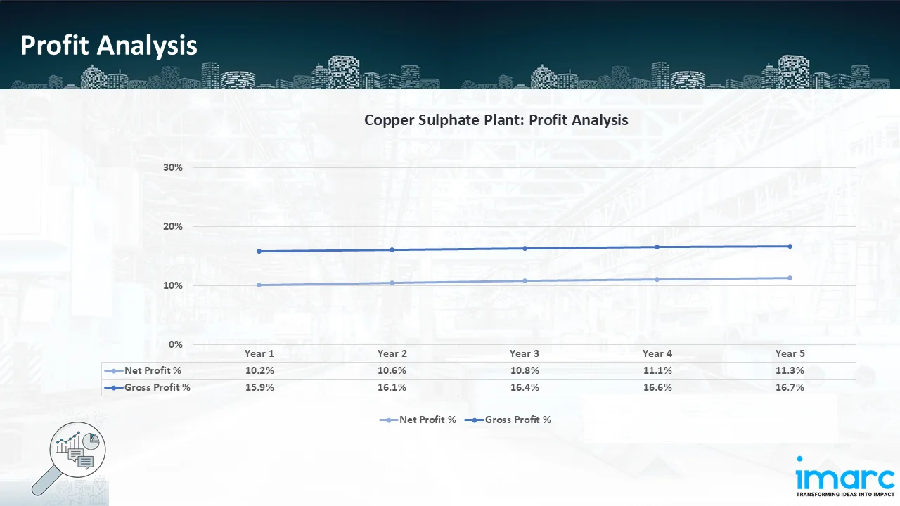 Profitability Analysis Year on Year Basis