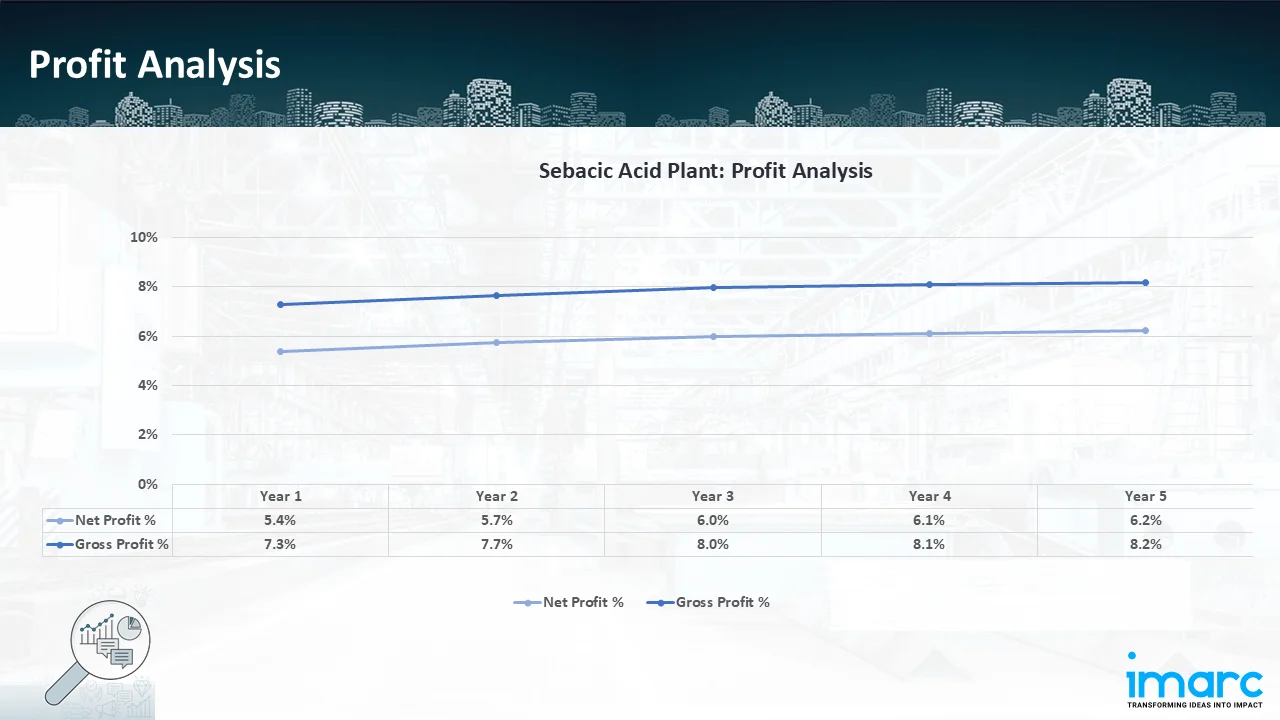 Profitability Analysis Year on Year Basis