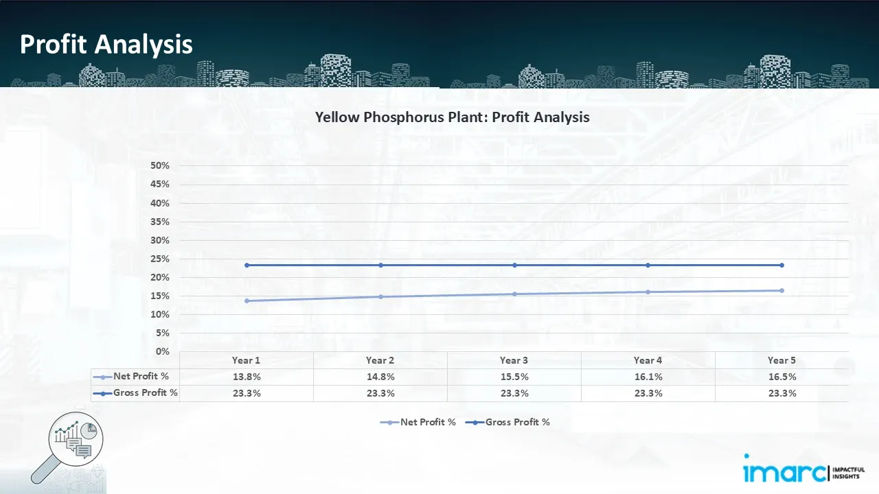 Profitability Analysis Year on Year Basis