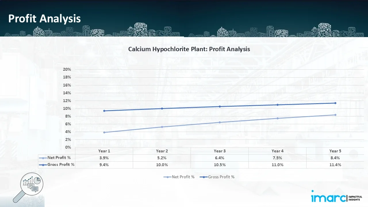 Profitability Analysis Year on Year Basis