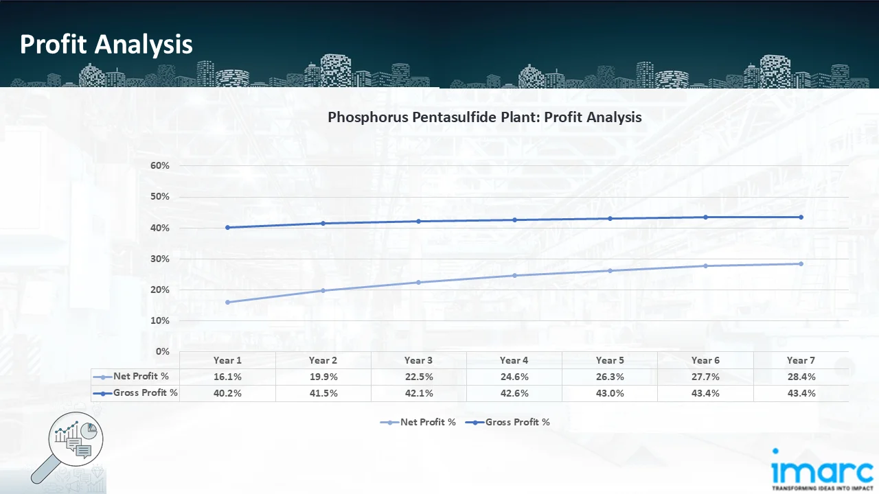 Profitability Analysis Year on Year Basis