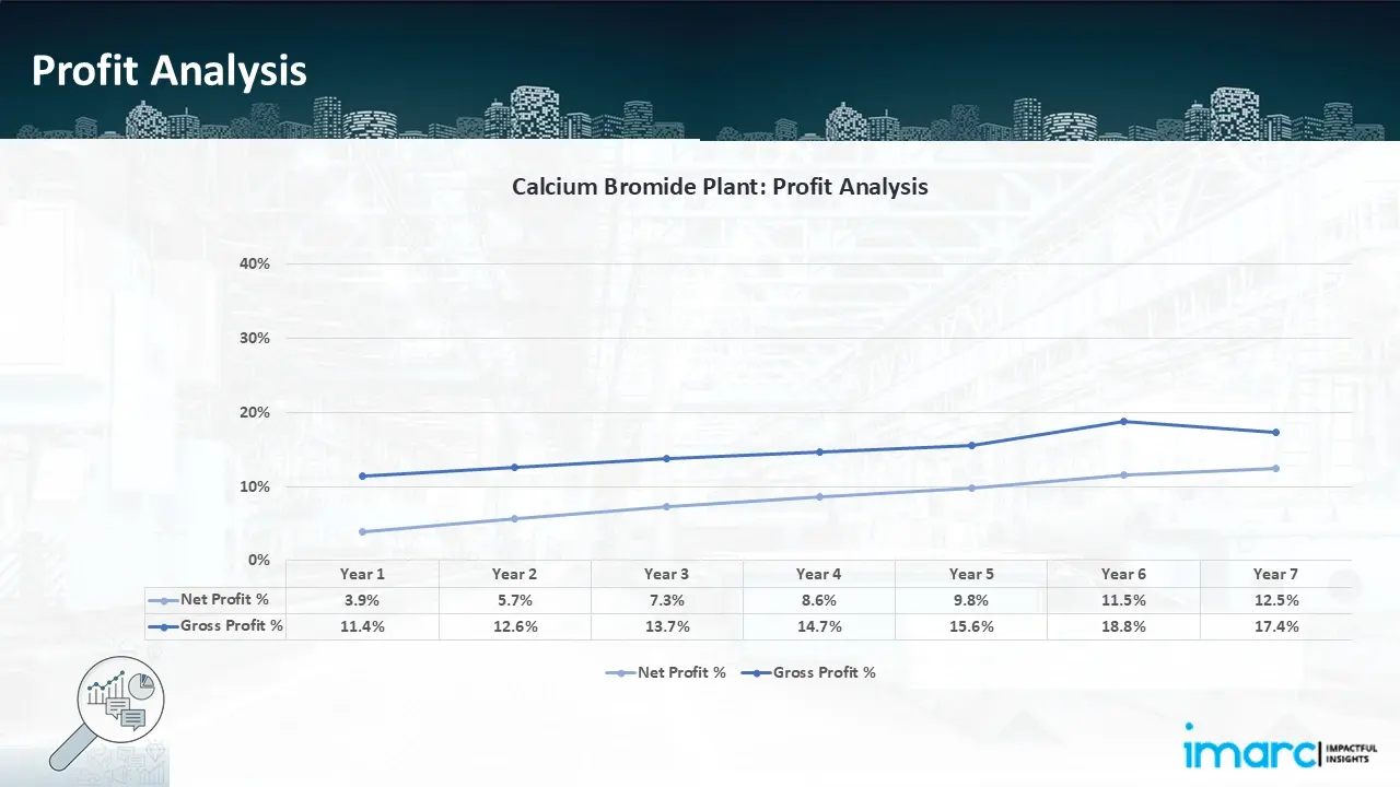 Profitability Analysis Year on Year Basis