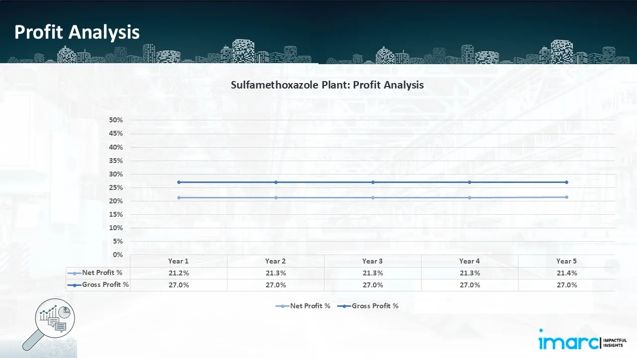 Profitability Analysis Year on Year Basis